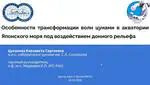 Елизавета Цуканова: трансформация волн цунами в Японском море под влиянием донного рельефа